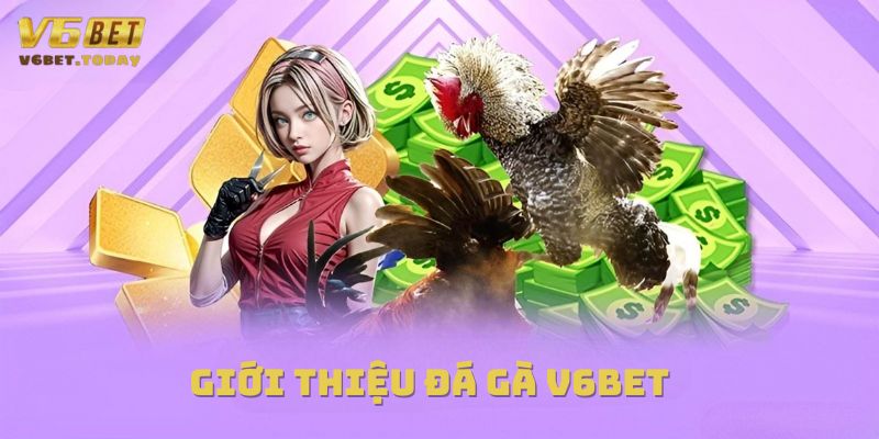 Giới thiệu tổng quan đá gà V6bet